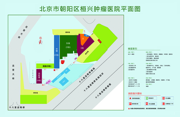 动漫少萝泳装自慰北京市朝阳区桓兴肿瘤医院平面图